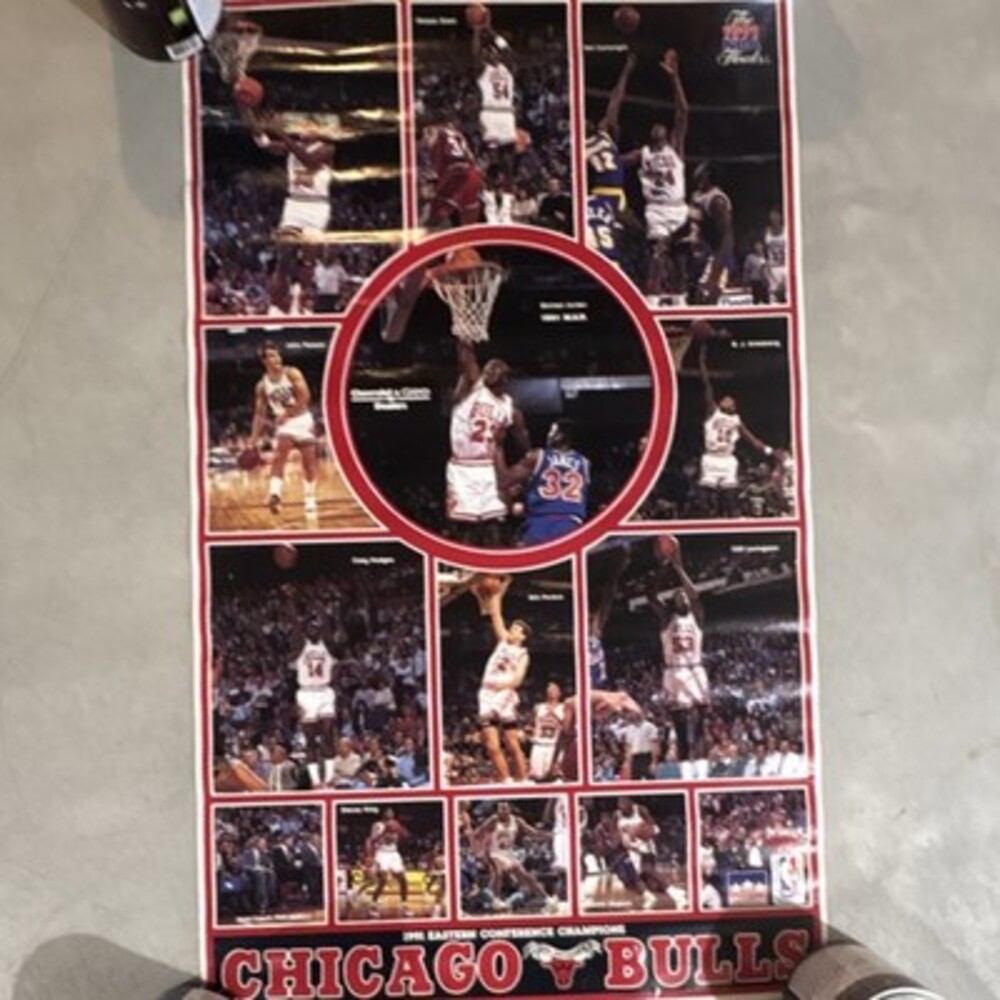 Chicago Bulls 1991 NBA Finals Champions Vintage Poster Jordan Pippen Grant
